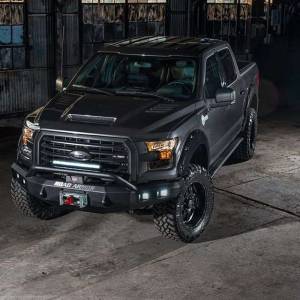 Road Armor - Road Armor 615R4B Stealth Winch Front Bumper with Pre-Runner Guard and Square Light Holes for Ford F150 2015-2017 - Image 3