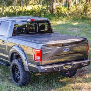 Road Armor - Road Armor 61600B Stealth Winch Rear Bumper for Ford F150 2015-2017 - Image 6