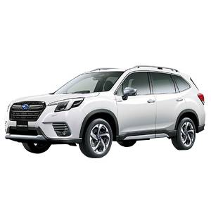 Shop Bumpers By Vehicle - Subaru Forester